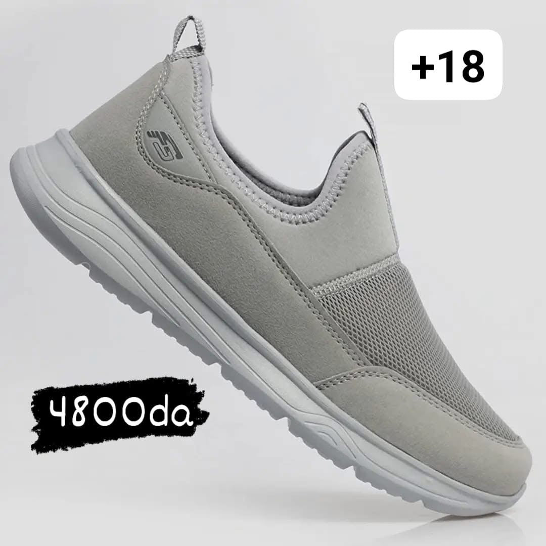 forza new gris clair