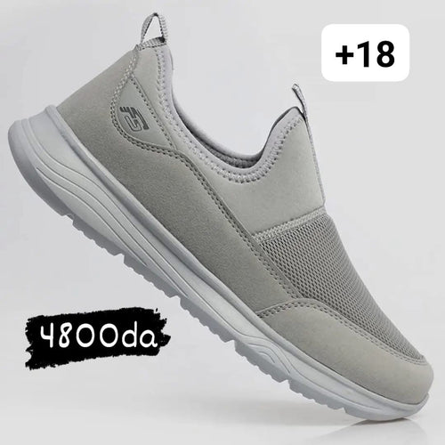 forza new gris clair